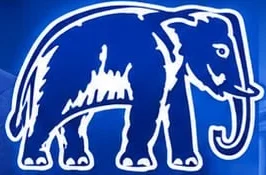 BSP
